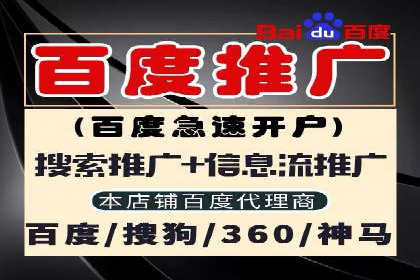 如何在有限预算下最大化百度推广费用的效果——案例解读